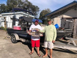 Inshore Black Drum Fishing in  Florida